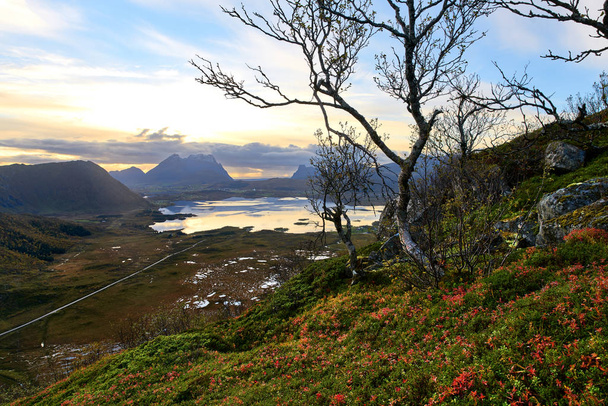 Uitzicht vanaf boven over het landschap op de Lofoten eilanden - Foto, afbeelding