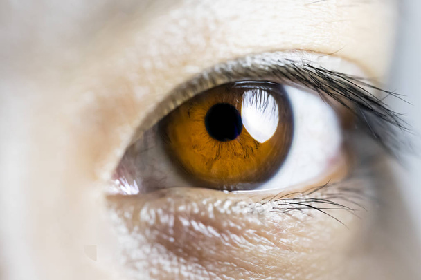 Detalle de los ojos marrones humanos - Foto, Imagen