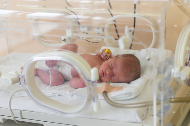Передчасна новонароджена дитина в інкубаторі лікарні. відділення інтенсивної терапії новонароджених
  - Фото, зображення
