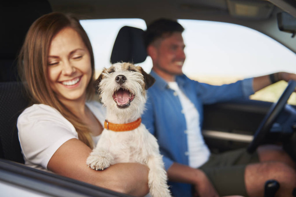 Mladí manželé a jejich psi spolu cestují  - Fotografie, Obrázek