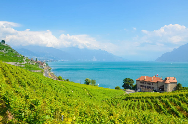 Amazing view of terraced vineyards on slopes by Lake Geneva, Switzerland. Famous Lavaux wine region, UNESCO Heritage. Turquoise lake. Green vineyard on hill. Switzerland summer. Swiss landscapes - Photo, Image