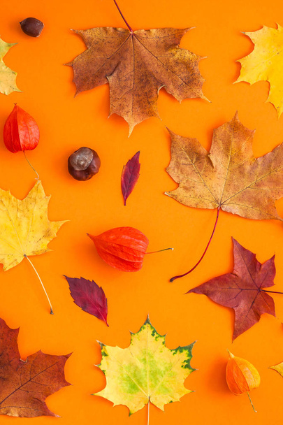 Dry autumn leaves as a frame template - Fotografie, Obrázek