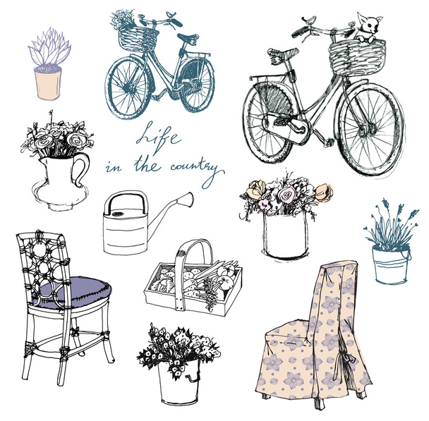 Country life. Flowers. Furniture. Interior elements. - Vector, Image