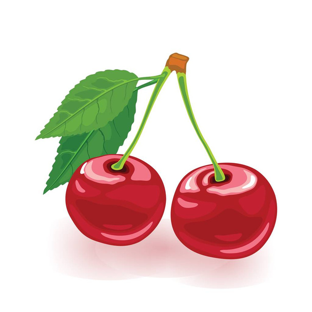 Ripe cherry with leaves. Two sweet red berries. Cartoon vector icon isolated on white background. - Wektor, obraz
