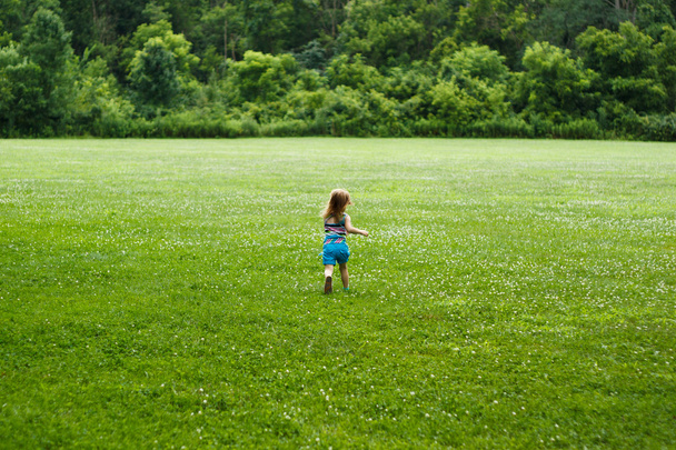 małe dziecko przez pola w kierunku lasu - Zdjęcie, obraz