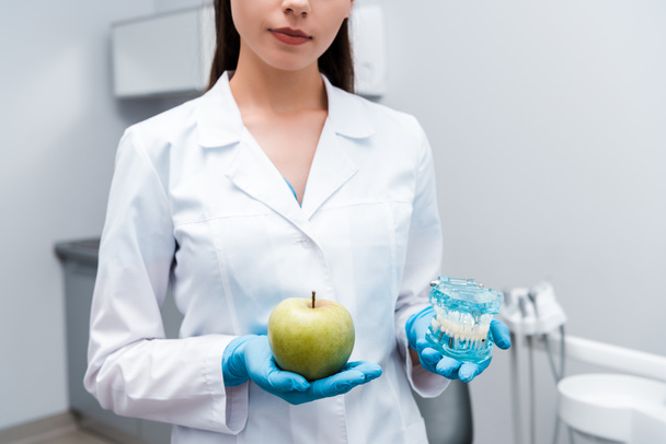 cropped view of dentist holding teeth model and tasty apple  - Zdjęcie, obraz