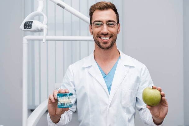 χαρούμενο οδοντίατρο σε γυαλιά κρατώντας το μοντέλο των δοντιών και πράσινο μήλο στην κλινική  - Φωτογραφία, εικόνα