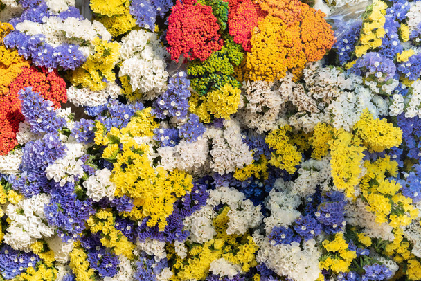 Крупним планом барвисті квіти на вулиці ринок в Екс-ан-Прованс, Франція - Фото, зображення