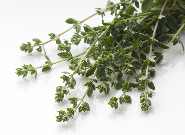 Herbs handful - Photo, Image