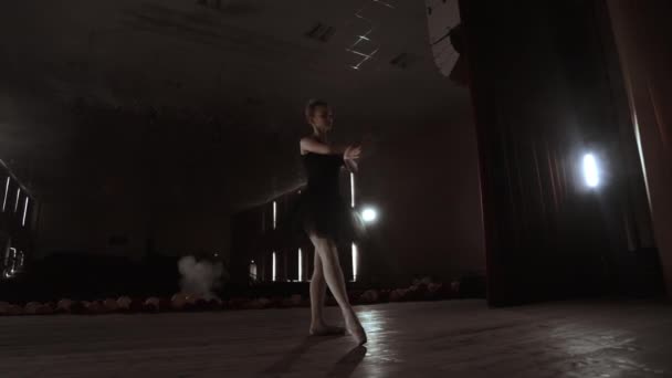 Prima ballerina op pointes trainen op het podium met spots in de late avond voor belangrijke optredens in Opera en ballet theater. Binnen - Video