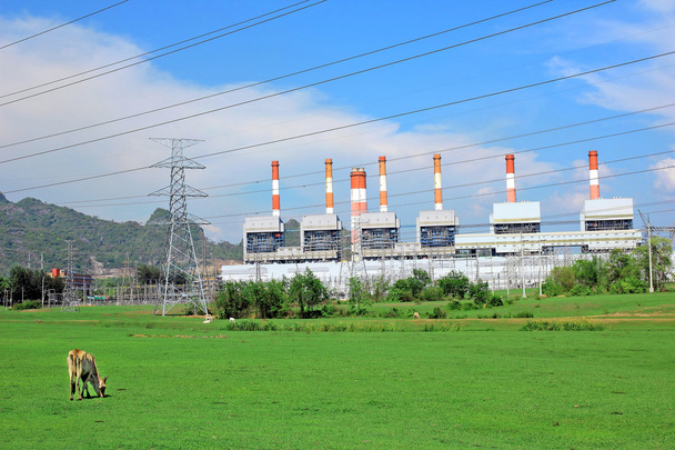 Coal power plant with cow - Photo, Image