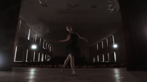Mladá krásná Ballerina v kouřové scéně tanec moderního baletu. Provádí hladké pohyby s rukama. - Záběry, video