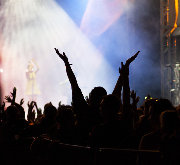 Konserde kalabalık - Fotoğraf, Görsel