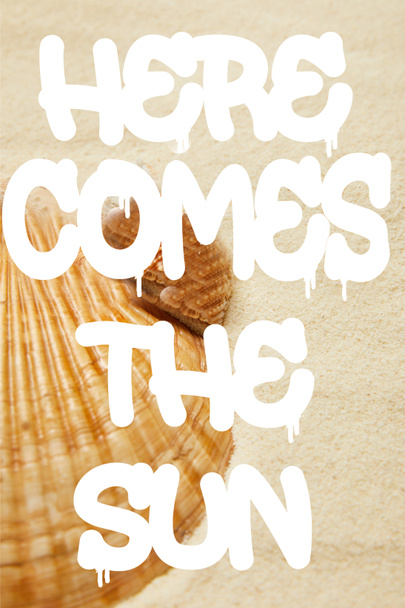 selective focus of seashells on beach with golden sand and here comes the sun illustration - Photo, Image
