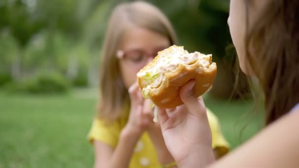 μαθητές πικ-νικ. δύο κορίτσια γκόμενες τρώνε χάμπουργκερ και τηγανιτές πατάτες που κάθονται στο γρασίδι στο πάρκο - Πλάνα, βίντεο