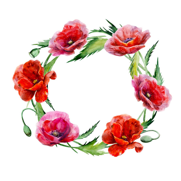 Wreath of poppy flowers. Hand drawn watercolor illustration. Round form red colors floral elements for design isolated on white background. For wedding invitations, greeting cards, datings. - Zdjęcie, obraz