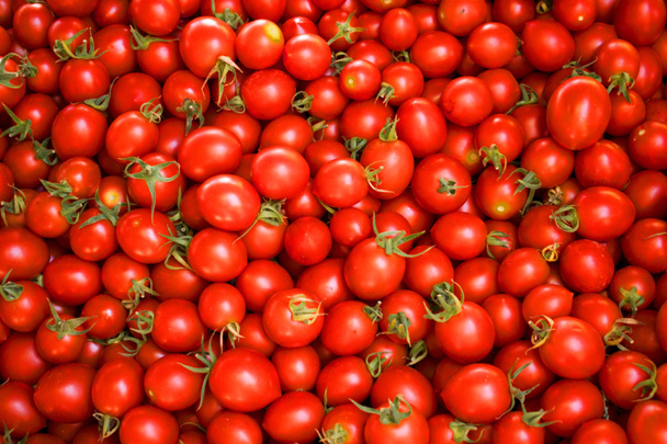 Tomates rojos frescos en un campo o en un mercado de agricultores. Comida saludable, antecedentes veganos orgánicos
 - Foto, imagen