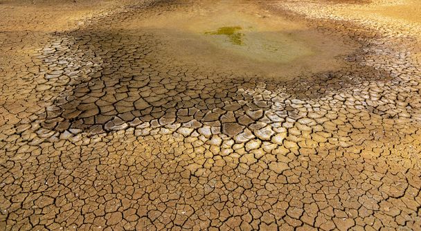 El concepto de sequía natural del medio ambiente en la Tierra: suelo seco, suelo agrietado con erosión del suelo Se vuelve rojo que no es agrícola
 - Foto, imagen
