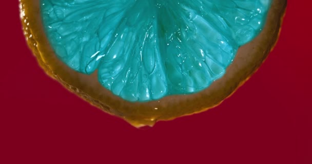 Cinemagraph - Primo piano o macro di una fetta blu di limone, una goccia d'acqua cade al rallentatore. Il frutto sprigiona freschezza e ripieno di succo. Concetto di frutta fresca, succo di cocktail
 - Filmati, video