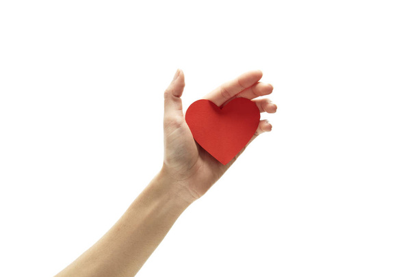 Red heart in woman hand on white - 写真・画像