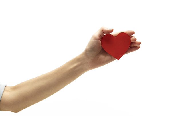 Corazón rojo en la mano de la mujer en blanco
 - Foto, imagen