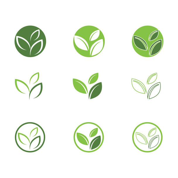Logos der grünen Baumblattökologie - Vektor, Bild