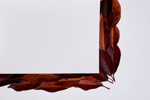 Autumn composition. Frame made of blank paper, yellow and red le - Foto, imagen