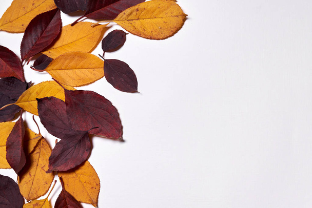 Φθινοπωρινή σύνθεση. Πλαίσιο κατασκευασμένο από κόκκινα και κίτρινα φύλλα σε λευκό - Φωτογραφία, εικόνα