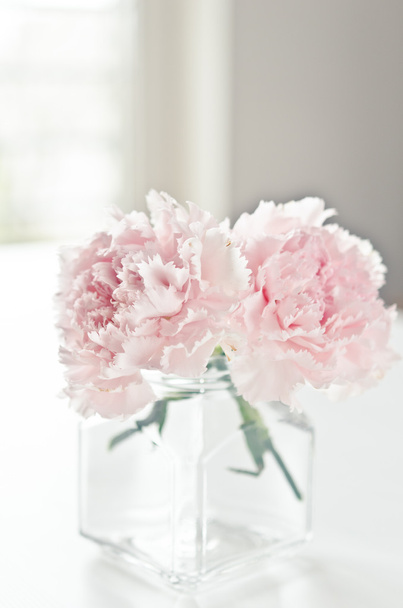 rosa Blüten - Foto, Bild