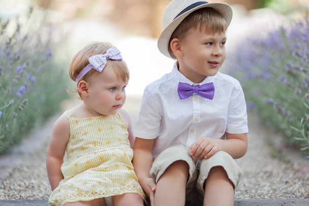 Little brother and little sister are sitting near the blooming lavender. Warm summer. Spring. - Photo, Image