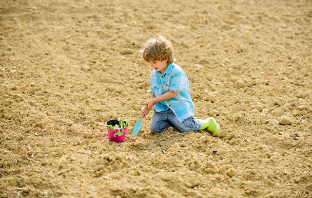 Fun time at farm. Gardening concept. Child having fun with little shovel and plant in pot. Planting in field. Planting seedlings. Little helper in garden. Boy sit on ground planting flower in field - Фото, зображення