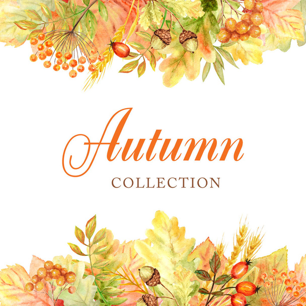 白い背景に隔離された秋の葉フレーム。●水彩画の秋葉手描きのイラスト。新しい秋のコレクション - 写真・画像