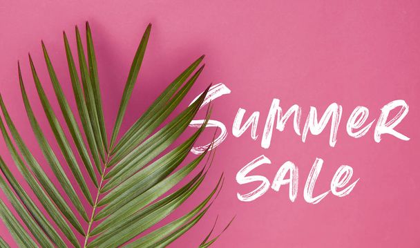 Tropical palm tree leaf on a trendy pastel pink background with summer message - Fotoğraf, Görsel
