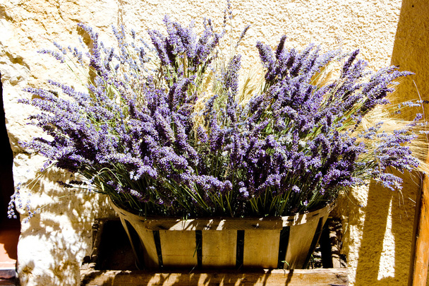Букет з lavenders
 - Фото, зображення