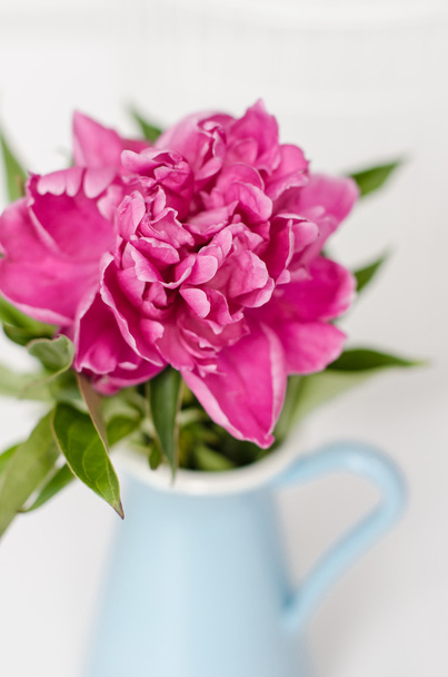 różowe kwiaty w wazonie - Zdjęcie, obraz