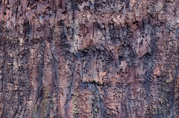 Imitation of a bark of a tree from ceramics. - Photo, Image