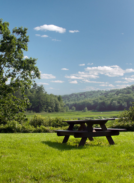 houten picknicktafel op groen gras - Foto, afbeelding