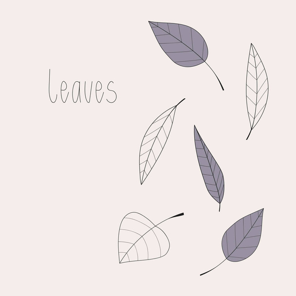 Eenvoudige verschillende vormen van bladeren met de "Bladeren" woord. - Vector, afbeelding