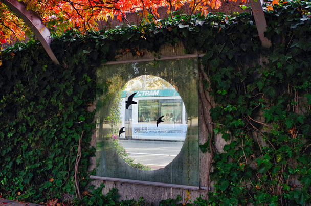 "Straßenbahn-Trolleywagen aus dem Stadtverkehr von Barcelona, betrachtet durch ein vogelbeschichtetes rundes Fenster im Park "parc del centre de poblenou" in Barcelona - Foto, Bild