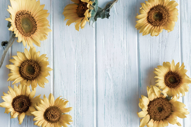 Autumn banner with flowers of sunflower on a light wooden background. Frame for greeting card with flowers of sunflower. View from above - Fotó, kép