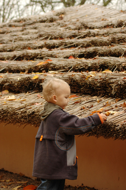 Reed roof and child. - Photo, Image