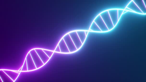 Roterende Neon DNA ketting. Fluorescerende ultraviolette lampen. Sci-Fi stijl. Moderne neon blauw paars Lichtspectrum. 3D renderen naadloze lus animatie 4k UHD - Video