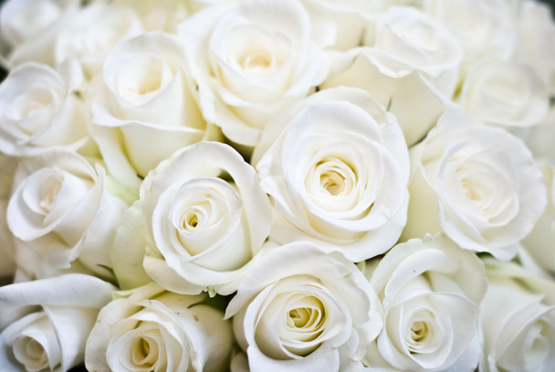 Flores de boda
 - Foto, imagen