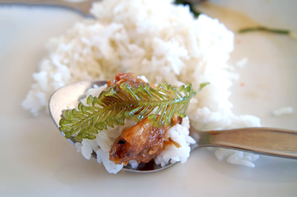 Camarão de pimenta assada na colher tem arroz
 - Foto, Imagem