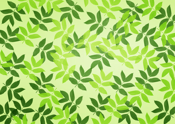 Leaf background - Foto, Imagem