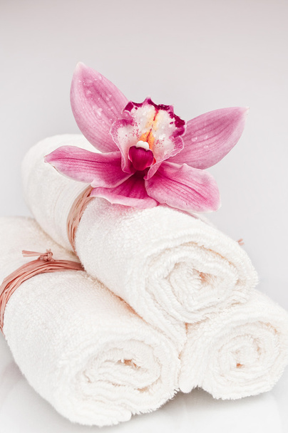 kwiat i ręcznik rolki bliska - Zdjęcie, obraz
