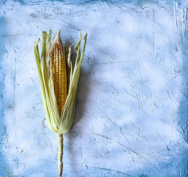 Single Corn on the Cob on bright background - Фото, зображення