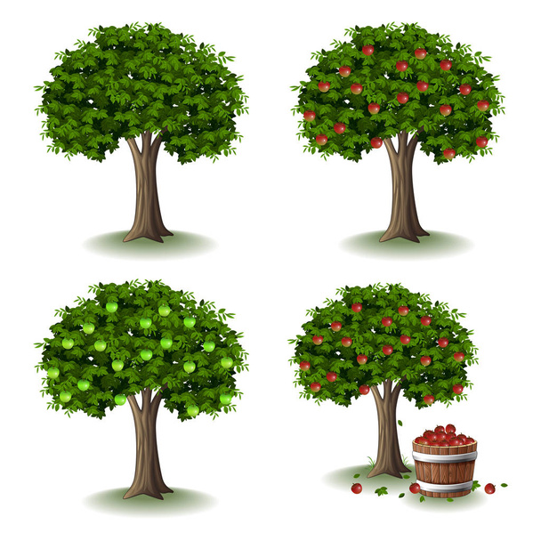 Apple tree illustration collections set - Vektor, obrázek