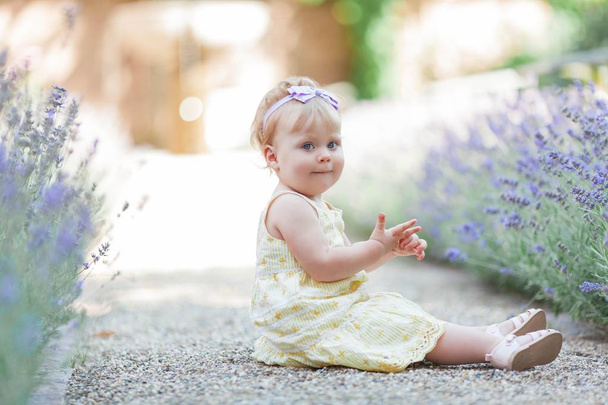 咲くラベンダーの近くに座っている小さな青い目の女の子。暖かい夏。春. - 写真・画像