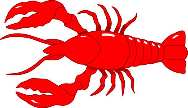 Cartoon homár vektor vörös állat illusztráció - Vektor, kép